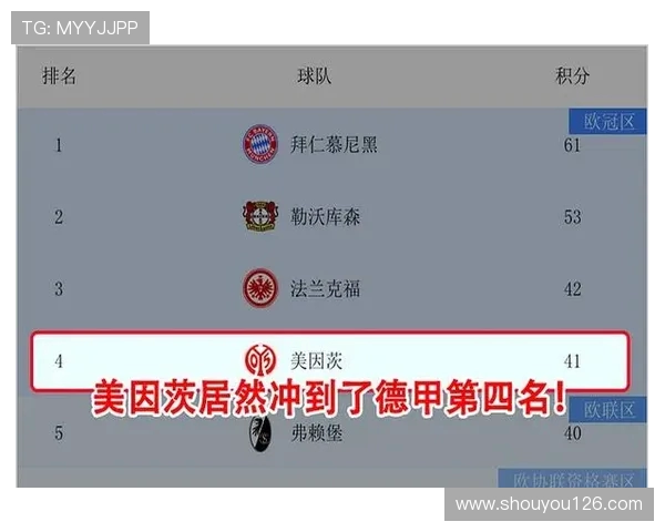 深度剖析德甲球队的战术特性与风格对比