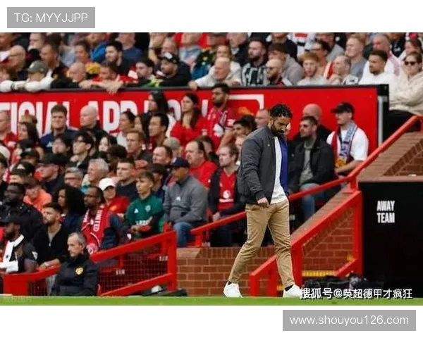 英超森林狼队主教练的执教风格与战术变化 英超森林狼队主教练的执教风格与战术变化