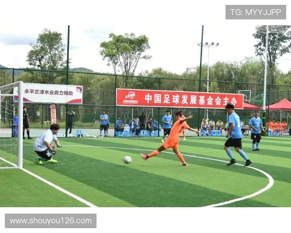 足球赛事中的观众体验与现场氛围