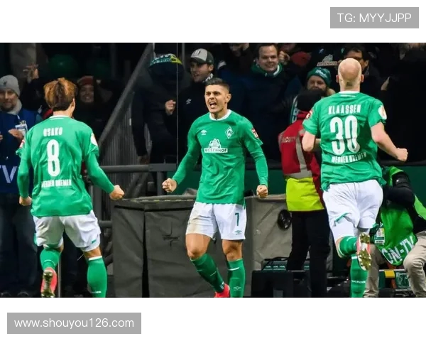 德甲球队弗赖堡队标高清图片及设计背后的故事 德甲球队弗赖堡队标高清图片及设计背后的故事